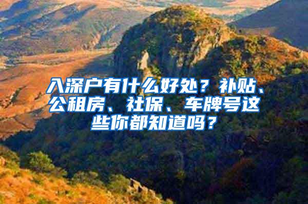 入深户有什么好处？补贴、公租房、社保、车牌号这些你都知道吗？
