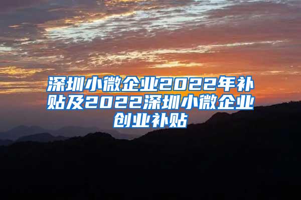 深圳小微企业2022年补贴及2022深圳小微企业创业补贴
