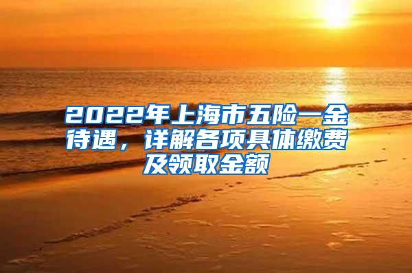 2022年上海市五险一金待遇，详解各项具体缴费及领取金额