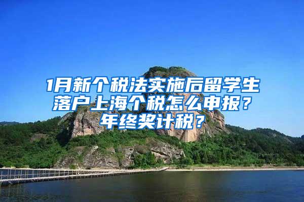1月新个税法实施后留学生落户上海个税怎么申报？年终奖计税？