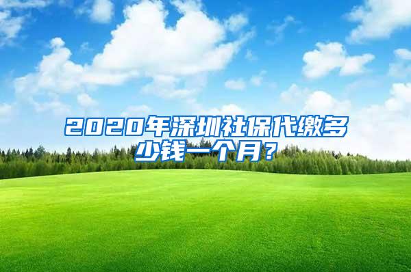 2020年深圳社保代缴多少钱一个月？