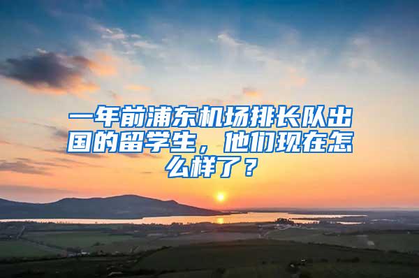 一年前浦东机场排长队出国的留学生，他们现在怎么样了？