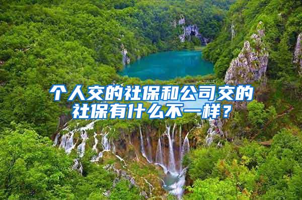 个人交的社保和公司交的社保有什么不一样？