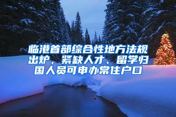 临港首部综合性地方法规出炉，紧缺人才、留学归国人员可申办常住户口