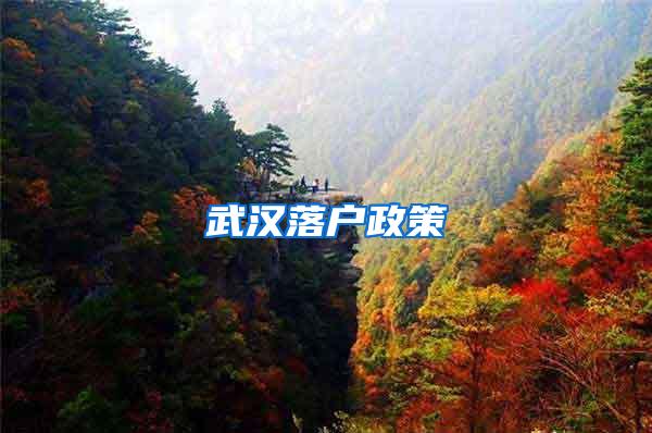 武汉落户政策