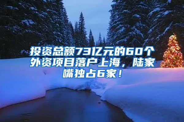 投资总额73亿元的60个外资项目落户上海，陆家嘴独占6家！