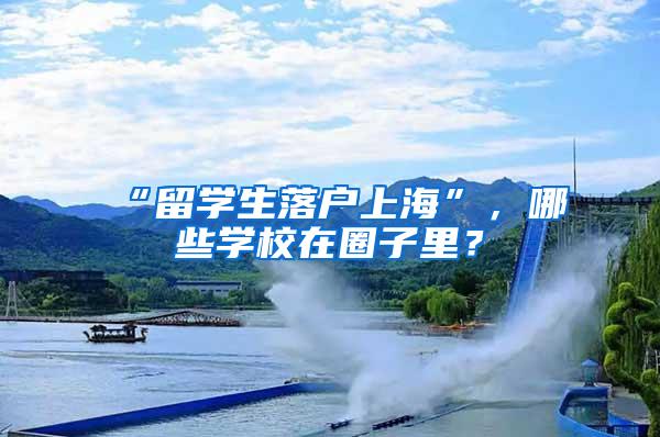 “留学生落户上海”，哪些学校在圈子里？