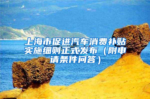 上海市促进汽车消费补贴实施细则正式发布（附申请条件问答）