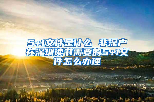 5+1文件是什么 非深户在深圳读书需要的5+1文件怎么办理