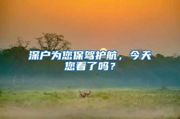 深户为您保驾护航，今天您看了吗？