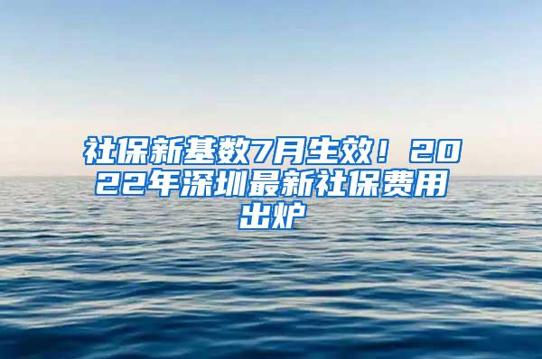 社保新基数7月生效！2022年深圳最新社保费用出炉