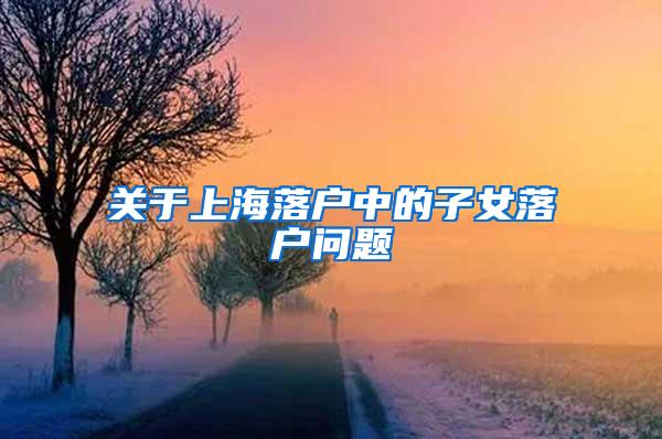 关于上海落户中的子女落户问题