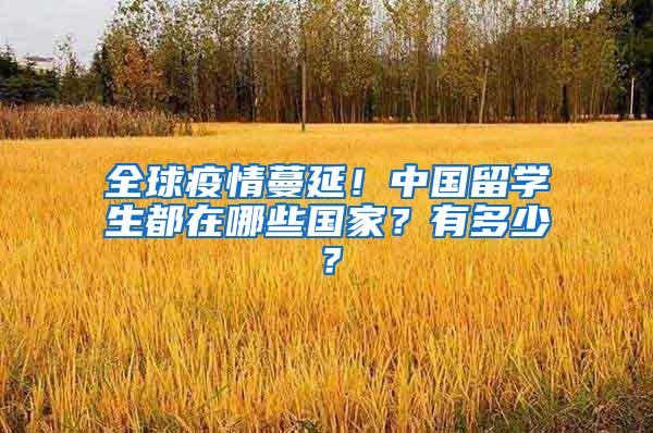 全球疫情蔓延！中国留学生都在哪些国家？有多少？