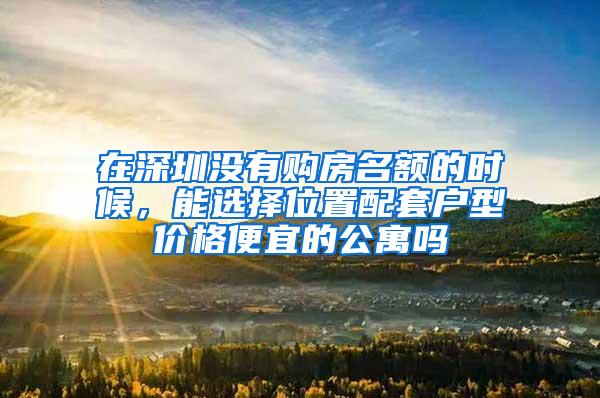 在深圳没有购房名额的时候，能选择位置配套户型价格便宜的公寓吗