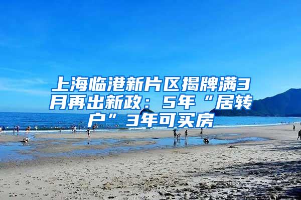 上海临港新片区揭牌满3月再出新政：5年“居转户”3年可买房