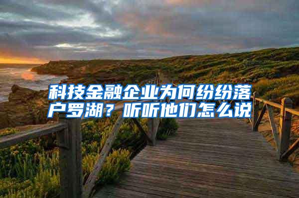 科技金融企业为何纷纷落户罗湖？听听他们怎么说