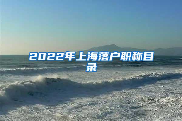 2022年上海落户职称目录
