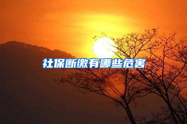 社保断缴有哪些危害