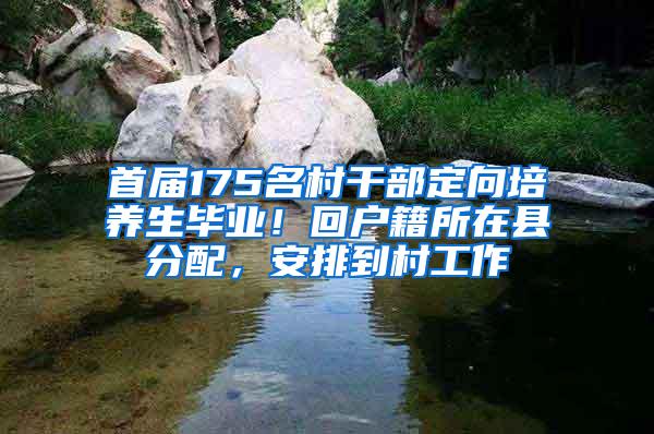 首届175名村干部定向培养生毕业！回户籍所在县分配，安排到村工作