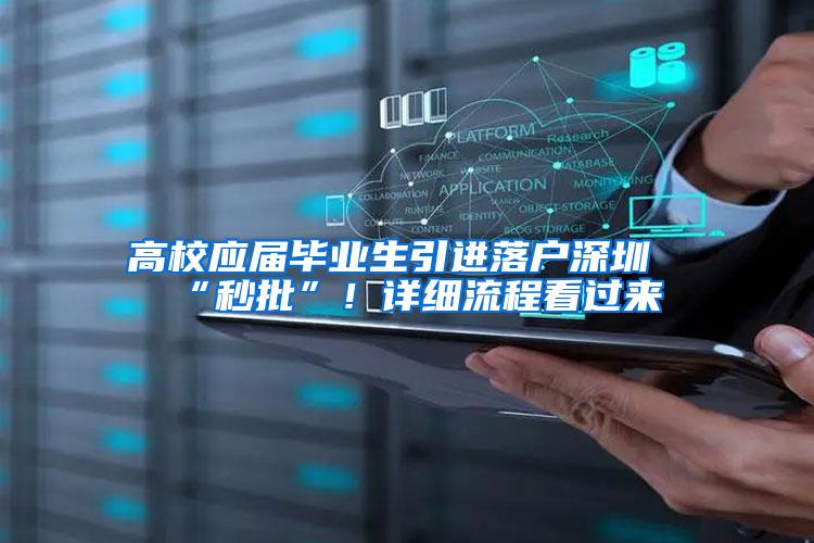 高校应届毕业生引进落户深圳“秒批”！详细流程看过来