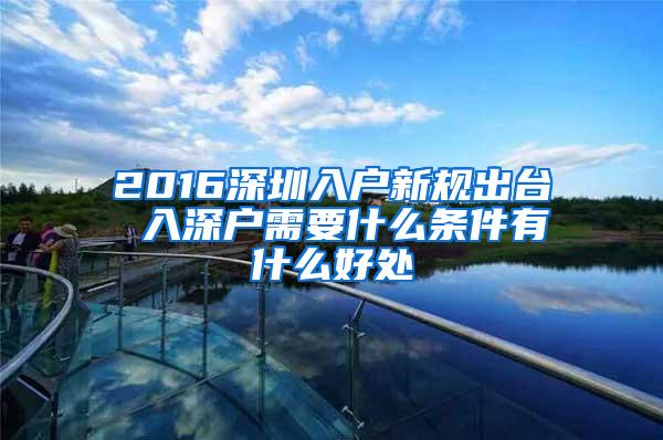2016深圳入户新规出台 入深户需要什么条件有什么好处
