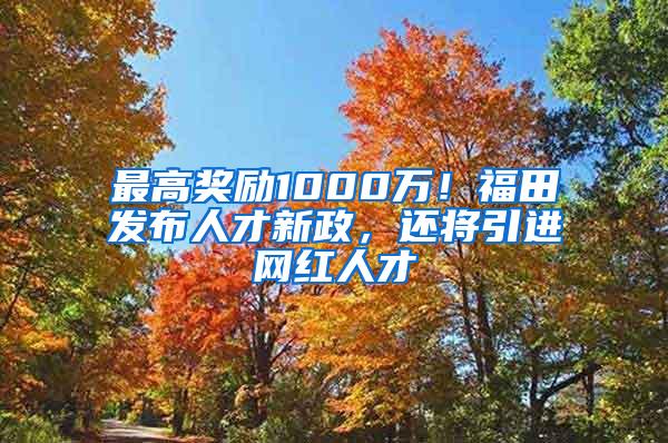最高奖励1000万！福田发布人才新政，还将引进网红人才
