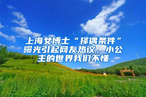 上海女博士“择偶条件”曝光引起网友热议，小公主的世界我们不懂