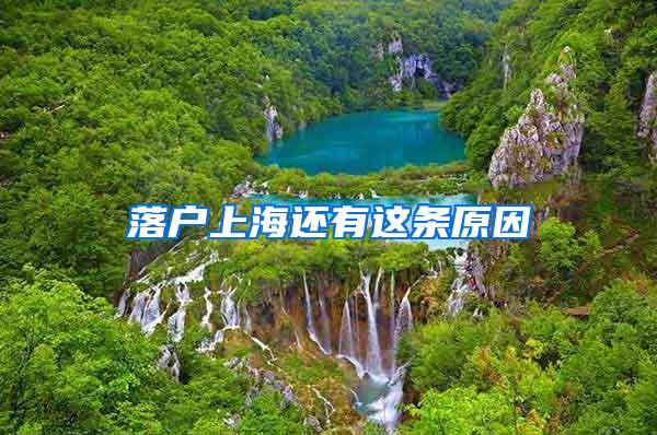 落户上海还有这条原因