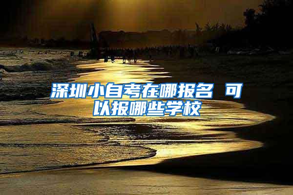 深圳小自考在哪报名 可以报哪些学校