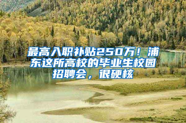 最高入职补贴250万！浦东这所高校的毕业生校园招聘会，很硬核