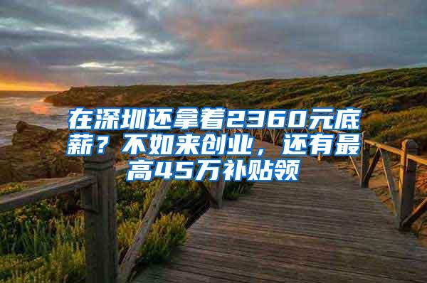 在深圳还拿着2360元底薪？不如来创业，还有最高45万补贴领