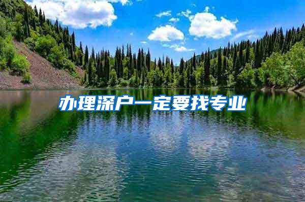 办理深户一定要找专业