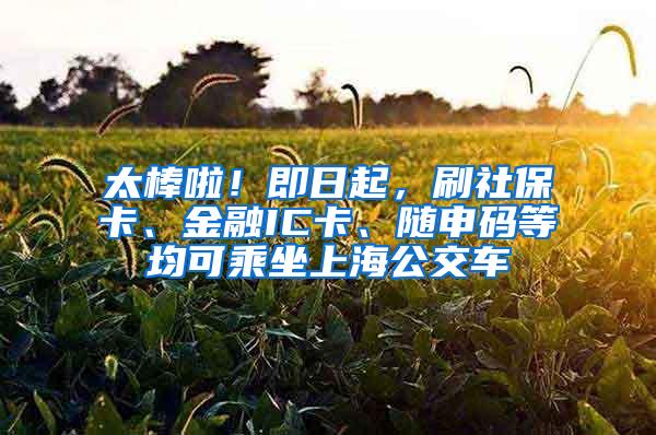 太棒啦！即日起，刷社保卡、金融IC卡、随申码等均可乘坐上海公交车