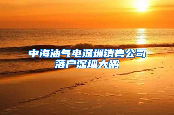 中海油气电深圳销售公司落户深圳大鹏