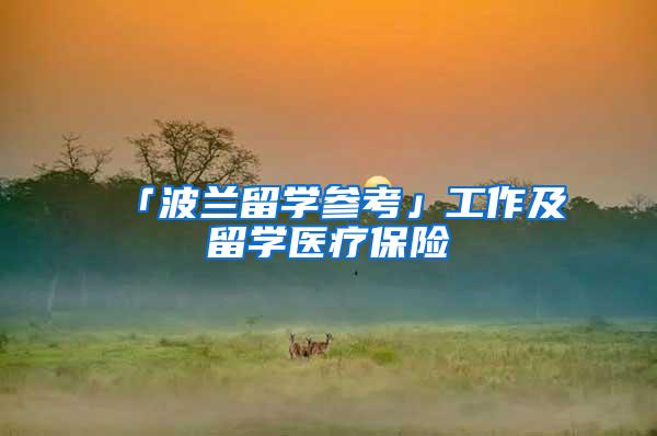 「波兰留学参考」工作及留学医疗保险
