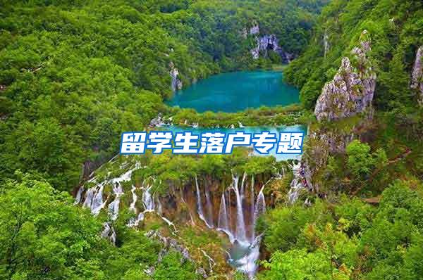 留学生落户专题
