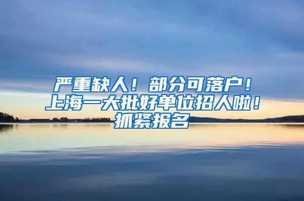 严重缺人！部分可落户！上海一大批好单位招人啦！抓紧报名