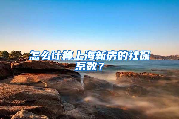 怎么计算上海新房的社保系数？