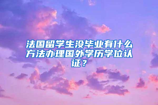 法国留学生没毕业有什么方法办理国外学历学位认证？