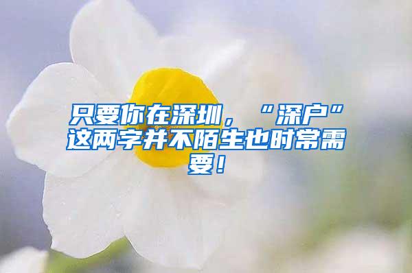 只要你在深圳，“深户”这两字并不陌生也时常需要！