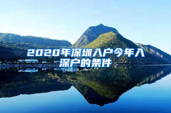 2020年深圳入户今年入深户的条件