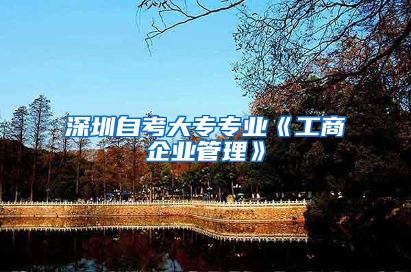 深圳自考大专专业《工商企业管理》