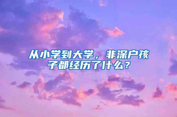 从小学到大学，非深户孩子都经历了什么？