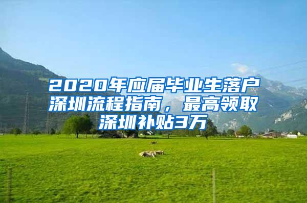 2020年应届毕业生落户深圳流程指南，最高领取深圳补贴3万