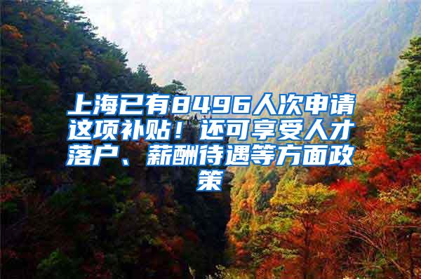 上海已有8496人次申请这项补贴！还可享受人才落户、薪酬待遇等方面政策
