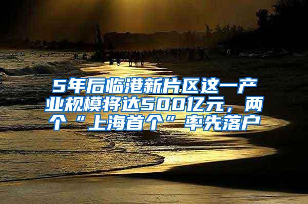5年后临港新片区这一产业规模将达500亿元，两个“上海首个”率先落户
