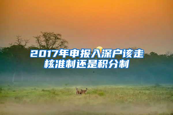 2017年申报入深户该走核准制还是积分制