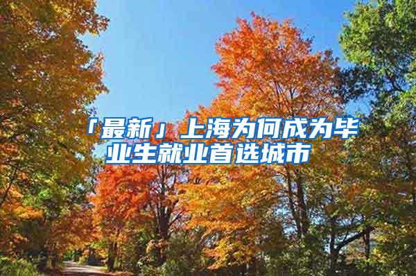「最新」上海为何成为毕业生就业首选城市