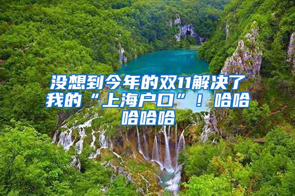 没想到今年的双11解决了我的“上海户口”！哈哈哈哈哈