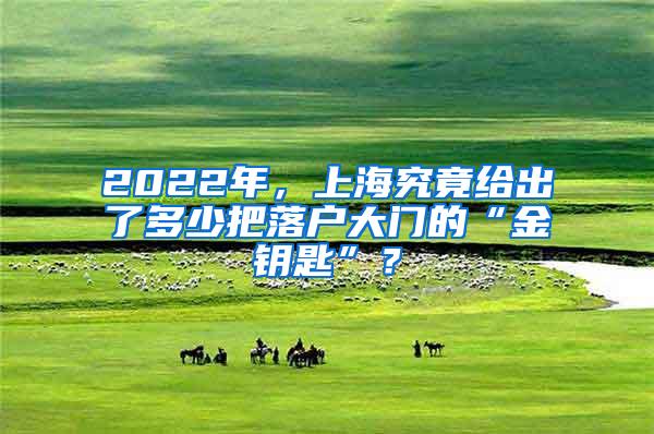 2022年，上海究竟给出了多少把落户大门的“金钥匙”？